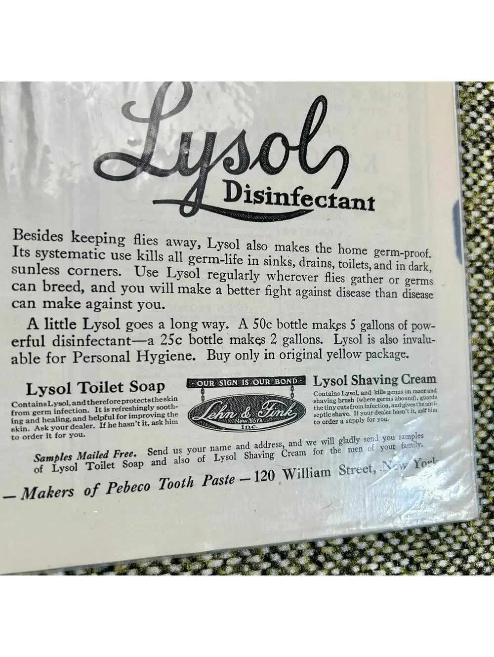 Vintage 1919 Lysol Disinfectant Ad‎ Ladies Home Journal Deadly Fly Art
